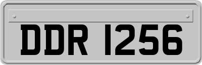 DDR1256