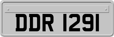 DDR1291