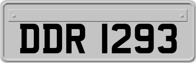 DDR1293
