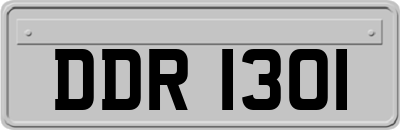 DDR1301