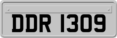 DDR1309