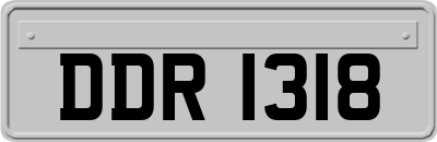 DDR1318