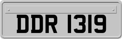 DDR1319