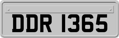 DDR1365