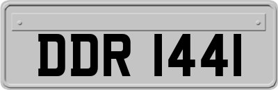 DDR1441