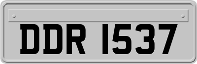 DDR1537