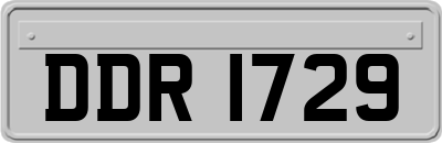 DDR1729