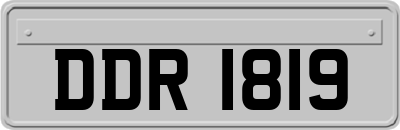 DDR1819
