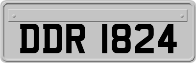 DDR1824