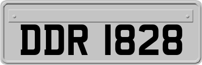 DDR1828