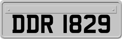 DDR1829