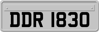 DDR1830