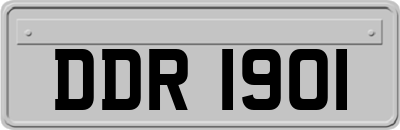 DDR1901