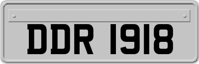 DDR1918