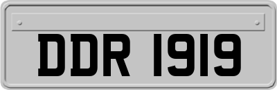 DDR1919