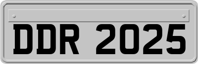 DDR2025