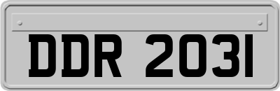 DDR2031