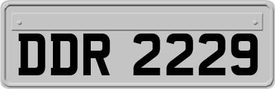 DDR2229