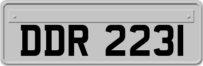 DDR2231