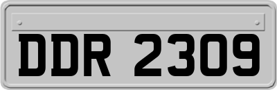 DDR2309