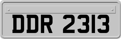 DDR2313