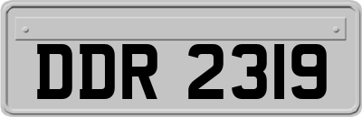 DDR2319