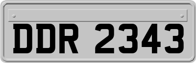DDR2343