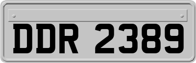 DDR2389