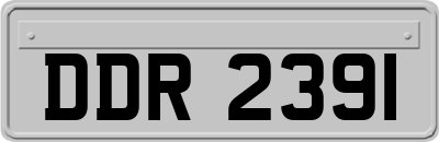 DDR2391