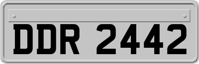 DDR2442