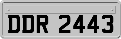 DDR2443