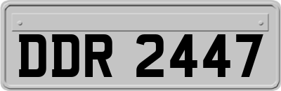 DDR2447