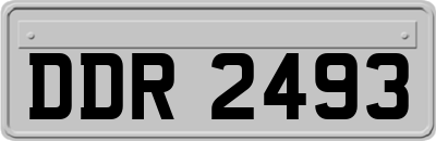 DDR2493