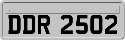 DDR2502
