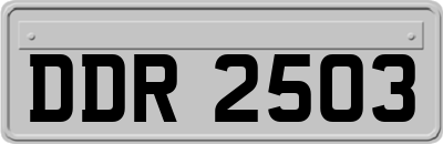 DDR2503