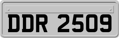 DDR2509