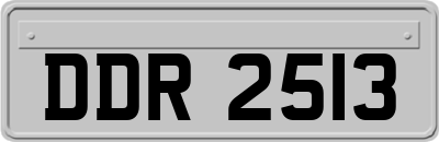 DDR2513