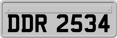 DDR2534