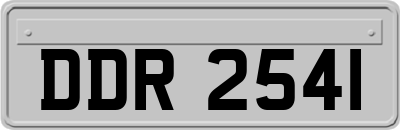 DDR2541