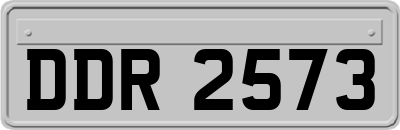 DDR2573