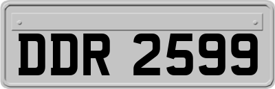 DDR2599