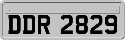 DDR2829