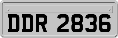 DDR2836