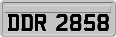 DDR2858