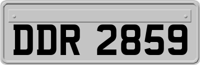 DDR2859