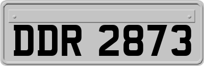 DDR2873