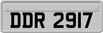 DDR2917