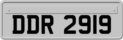 DDR2919