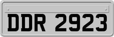 DDR2923
