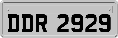 DDR2929